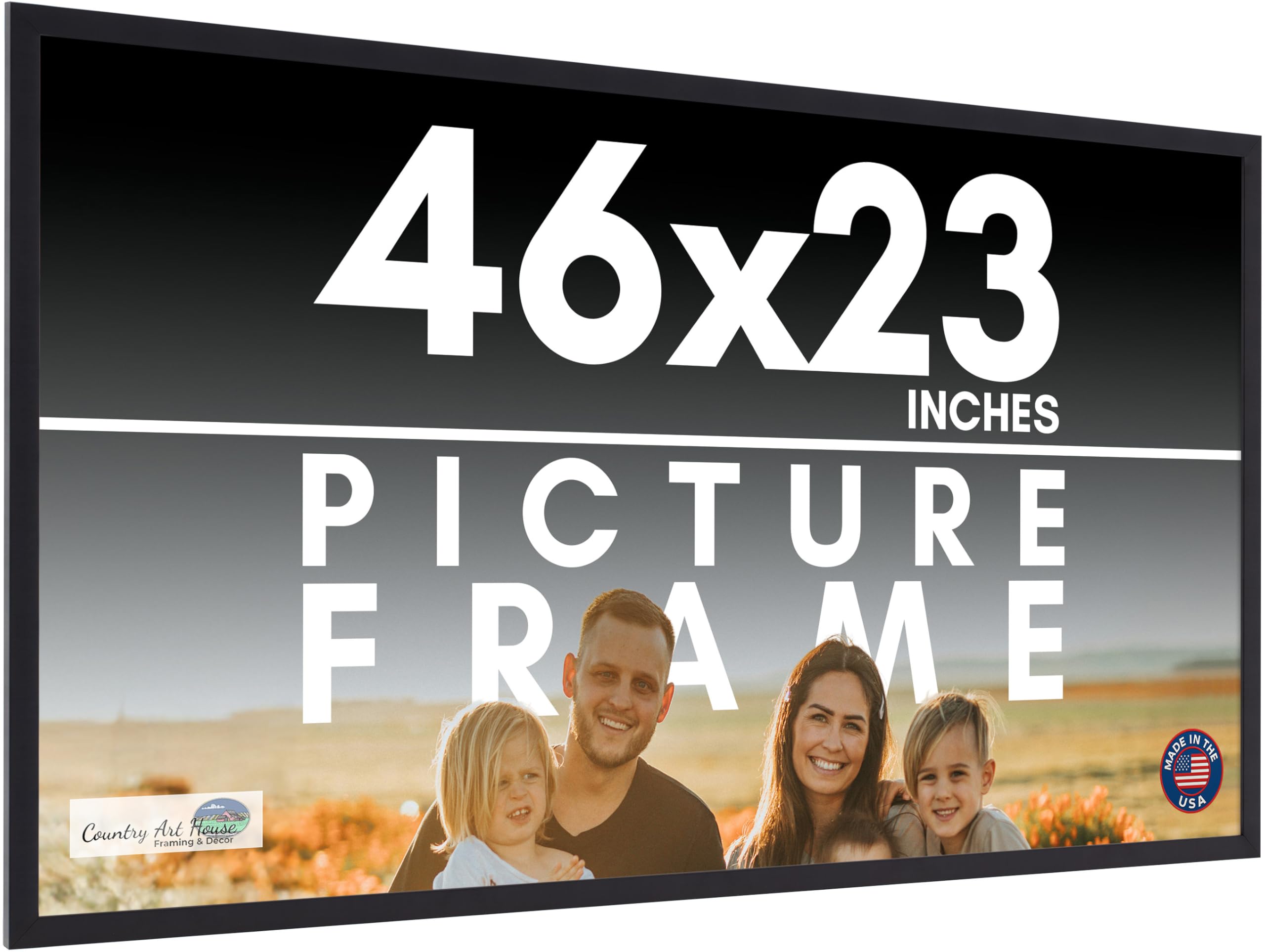 Amazon.com - 46x23 Frame Black Picture Frame - Complete Modern